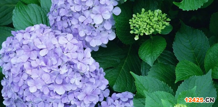 iso認(rèn)證是哪三個(gè)