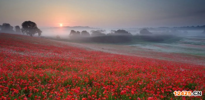 iso27001認證流程