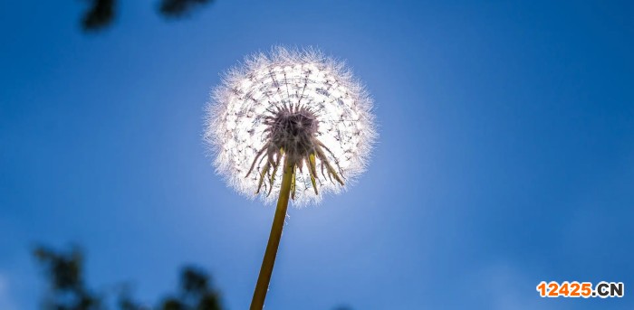 ISO三體系認證的辦理流程是什么