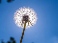 ISO三體系認(rèn)證的辦理流程是什么?