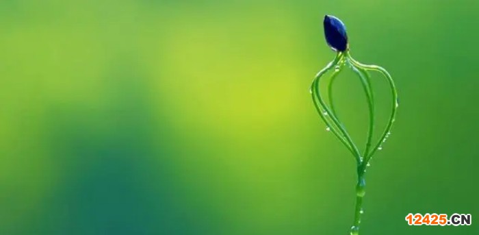 申請(qǐng)ISO三體系認(rèn)證的好處是什么