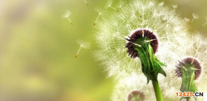 9001認(rèn)證和14001認(rèn)證的范圍是什么