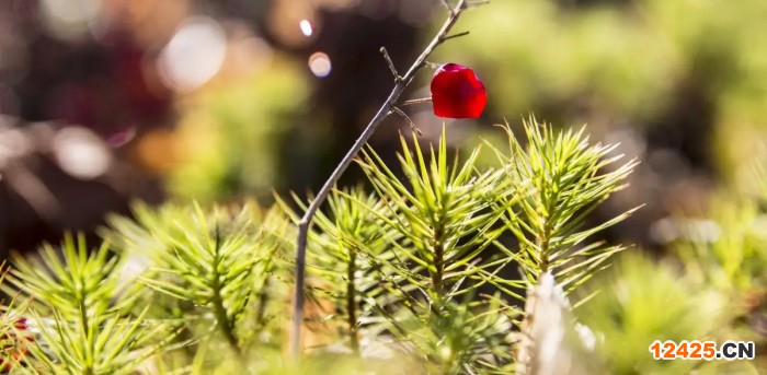 企業(yè)iso認證有什么用