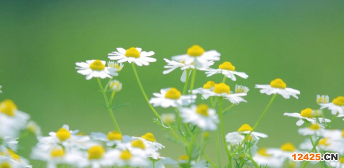 iso認(rèn)證需要什么條件