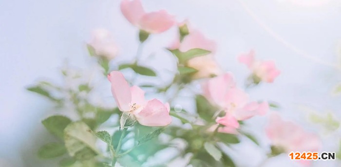 什么是iso認證有效期