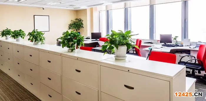 體系認證除了加分有什么用