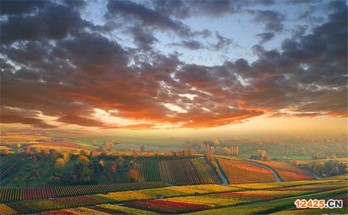 體系認(rèn)證的好處