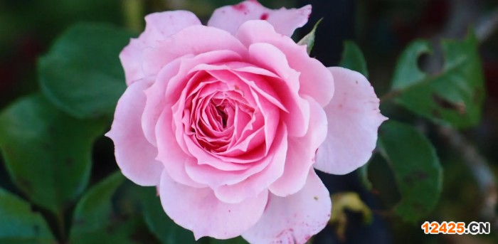 iso27005認(rèn)證是什么標(biāo)準(zhǔn)