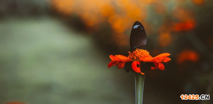 iso17065認證是什么