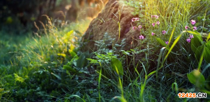 小工廠需要申請ISO體系認證嗎