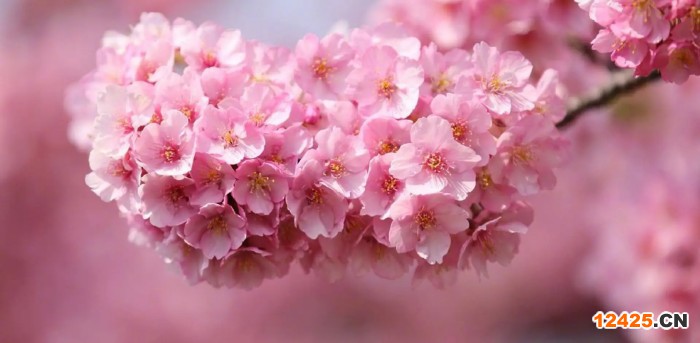 3c認(rèn)證和ISO認(rèn)證區(qū)別是什么