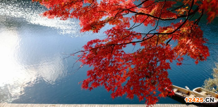 ISO檢測認證有什么用處