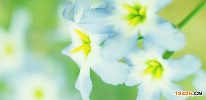 iso認(rèn)證是什么流程