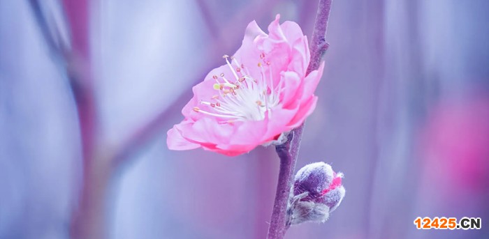 ISO14001認(rèn)證是什么意思