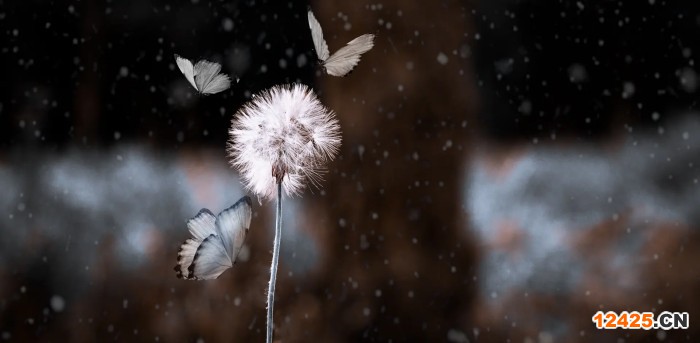 iso是什么認(rèn)證機構(gòu)