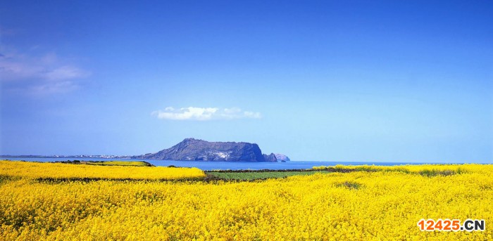 16949質(zhì)量管理體系標準