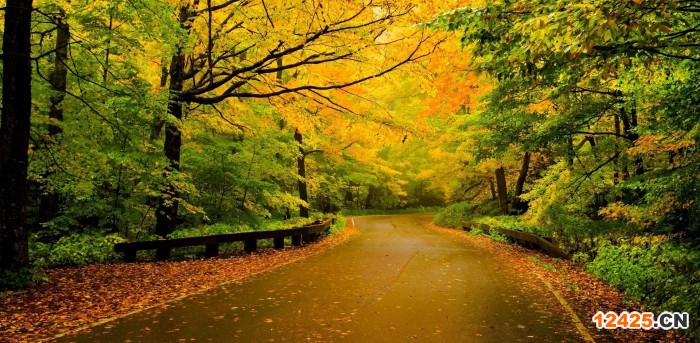 iso16949是屬于什么認證體系