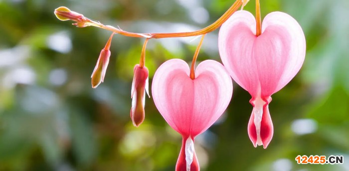 雙鴨山iso認證是什么