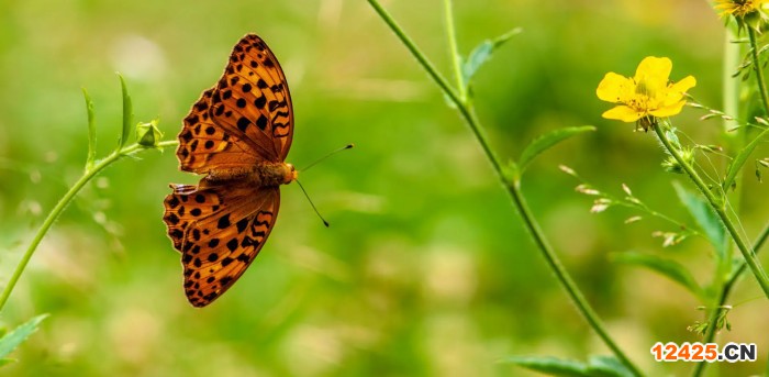 企業(yè)認(rèn)證好做嗎