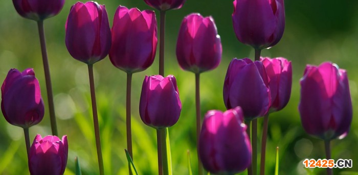 做iso認證需要多久