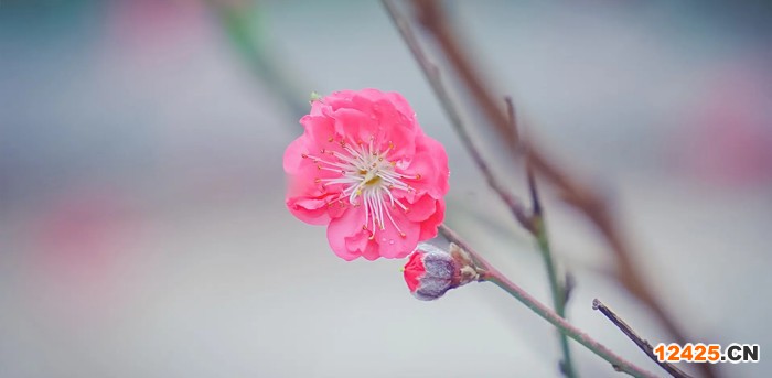 ISO體系認(rèn)證有什么好的介紹