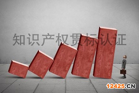 知識(shí)產(chǎn)權(quán)貫標(biāo)認(rèn)證