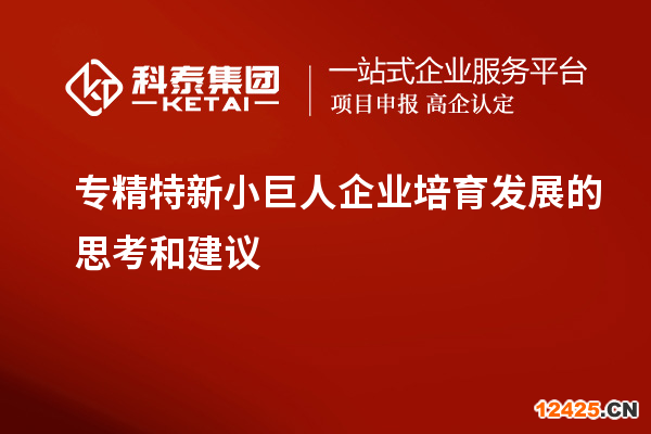 專精特新小巨人企業(yè)培育發(fā)展的思考和建議