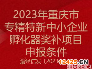2023年重慶市專精特新中小企業(yè)孵化器獎補項目申報條件(圖1)