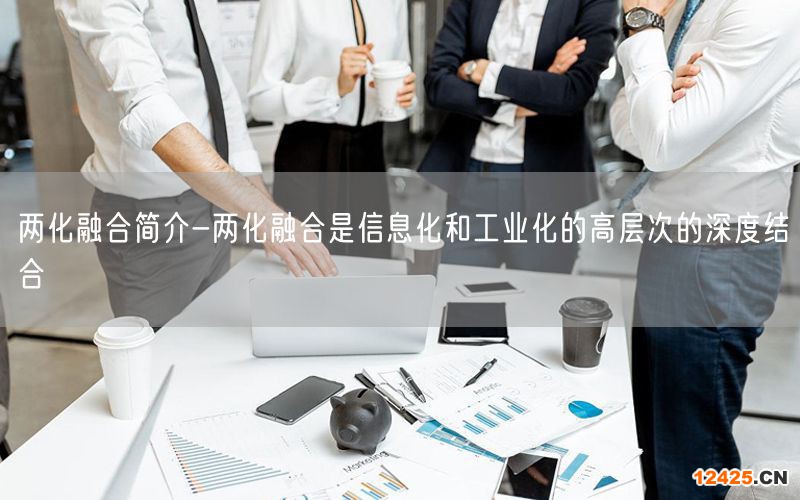 兩化融合簡(jiǎn)介-兩化融合是信息化和工業(yè)化的高層次的深度結(jié)合(3)