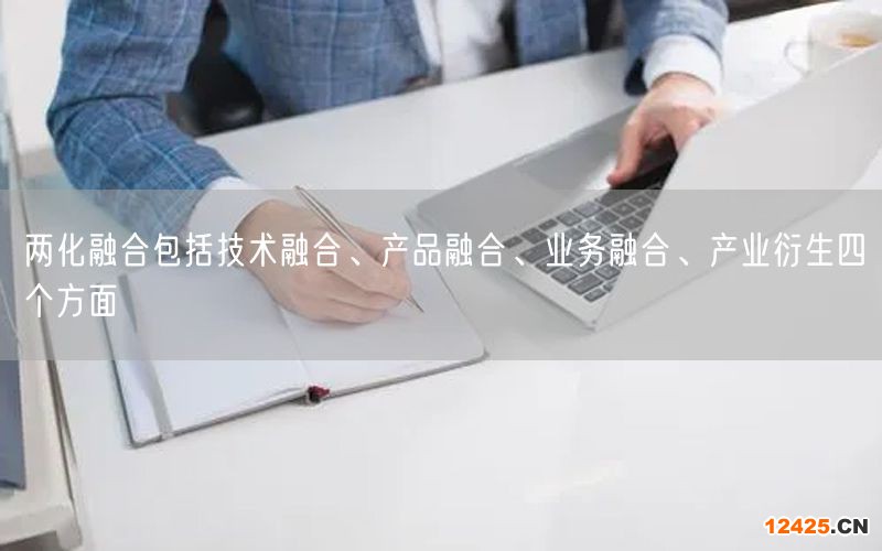 兩化融合包括技術(shù)融合、產(chǎn)品融合、業(yè)務(wù)融合、產(chǎn)業(yè)衍生四個(gè)方面(5)