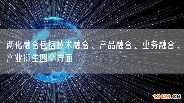 兩化融合包括技術(shù)融合、產(chǎn)品融合、業(yè)務(wù)融合、產(chǎn)業(yè)衍生四個(gè)方面(10)