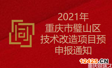 2021年重慶市璧山區(qū)技術改造項目預申報通知(圖1)