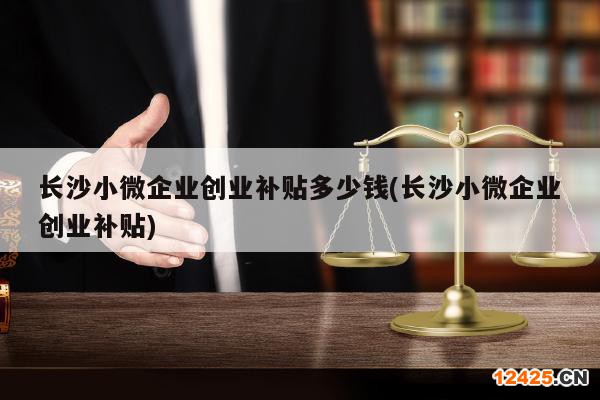 長(zhǎng)沙小微企業(yè)創(chuàng)業(yè)補(bǔ)貼多少錢(長(zhǎng)沙小微企業(yè)創(chuàng)業(yè)補(bǔ)貼)
