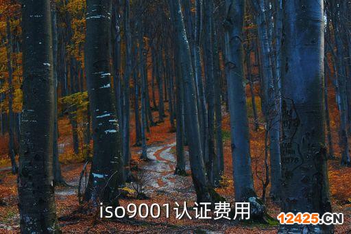 iso9001認(rèn)證費(fèi)用
