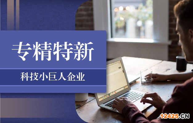 深圳市專(zhuān)精特新中小企業(yè)遴選及補(bǔ)貼政策