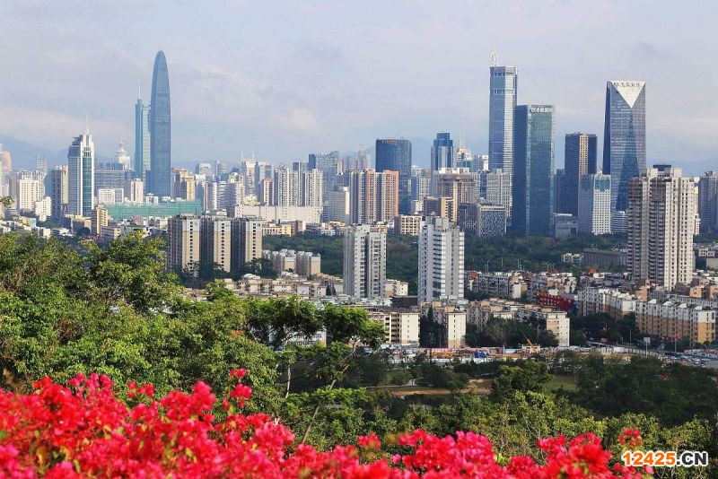 2023年深圳紫天科技特新