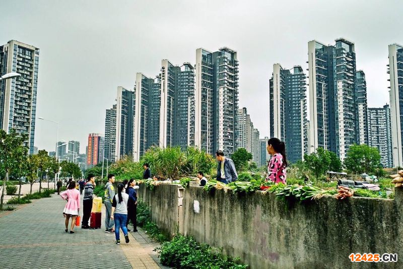 2023年深圳南山區(qū)特新企業(yè)意見稿,,,,