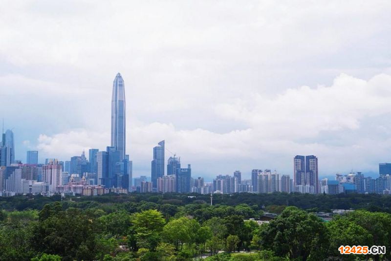 2023年深圳重點(diǎn)特新小巨人申報(bào)