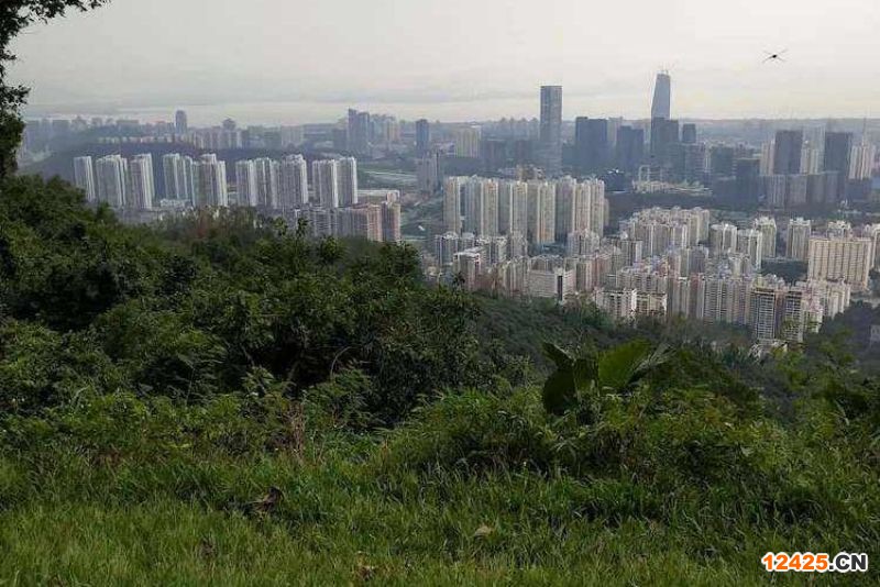 2023年深圳特新種子企業(yè)有效期