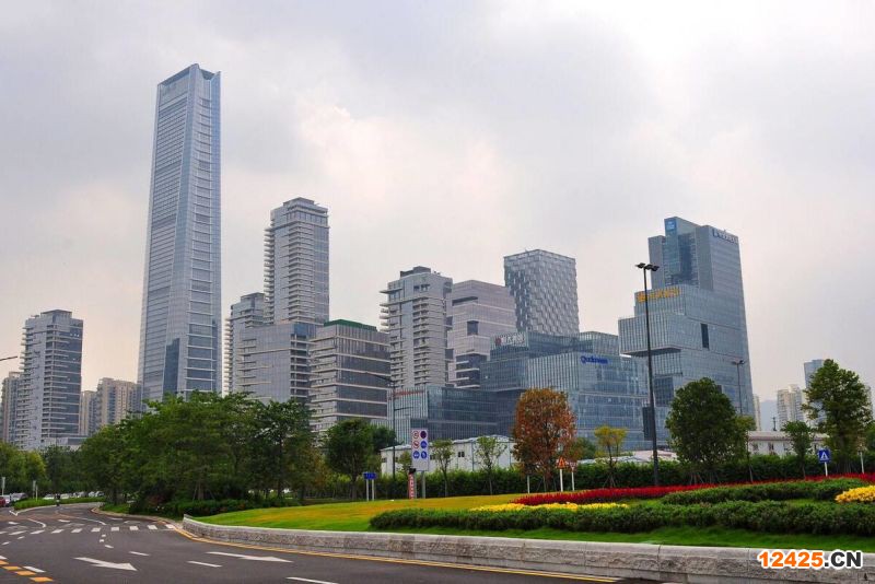 2023年深圳特新雙軟評(píng)估申請(qǐng)條件申報(bào)詳細(xì)指南