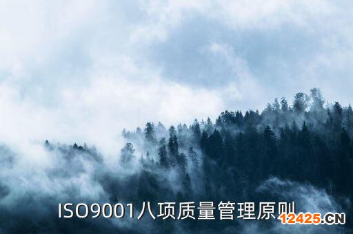 ISO9001八項(xiàng)質(zhì)量管理原則