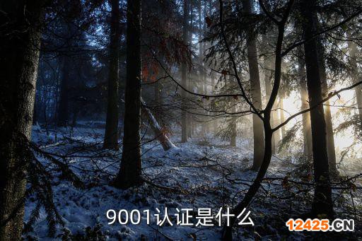 9001認(rèn)證是什么