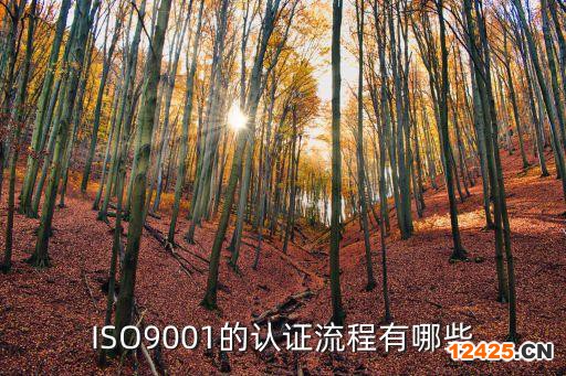 ISO9001的認(rèn)證流程有哪些