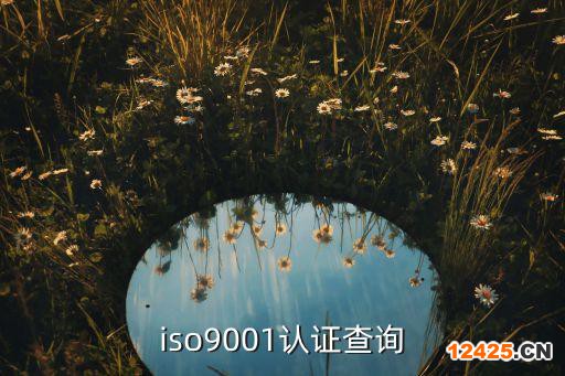 iso9001認(rèn)證查詢