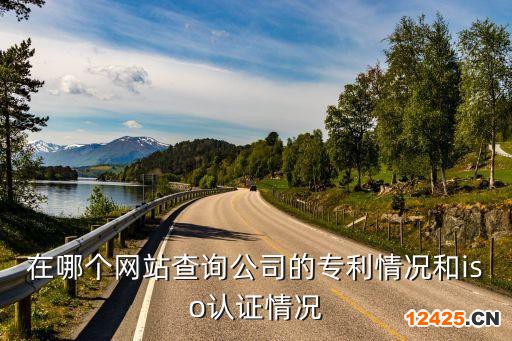 在哪個(gè)網(wǎng)站查詢公司的專利情況和iso認(rèn)證情況