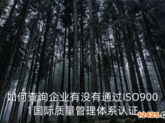想查一個單位是不是當(dāng)?shù)厥准耀@得ISO9001國際管理體系認(rèn)證的單位