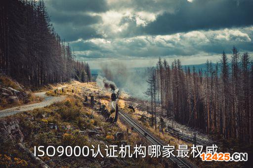 ISO9000認(rèn)證機(jī)構(gòu)哪家最權(quán)威