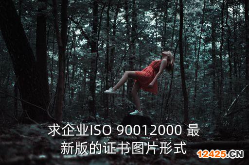 求企業(yè)ISO 90012000 最新版的證書圖片形式