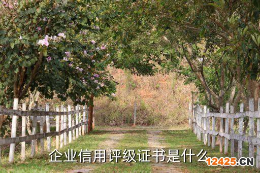 企業(yè)信用評級證書是什么