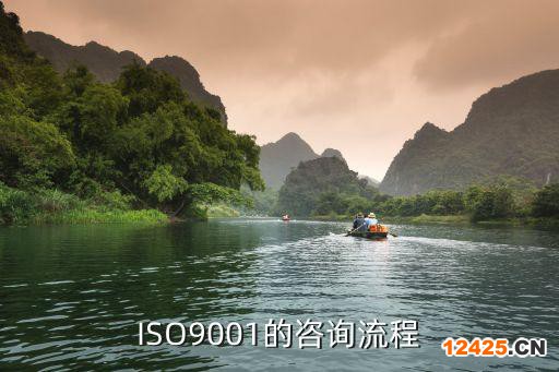 ISO9001的咨詢流程